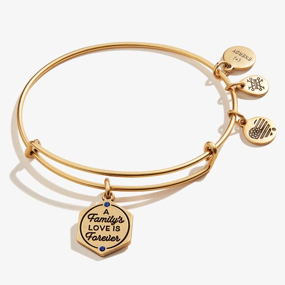 A Family's Love is Forever' Charm Bangle - Picture 1 of 6